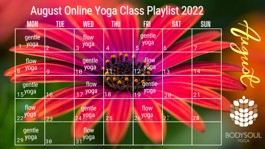 august yoga playlist on demand yoga videos